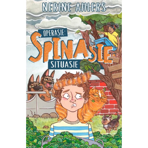Operasie: spinasie-situasie