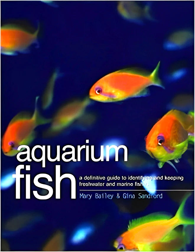 Aquarium Fish