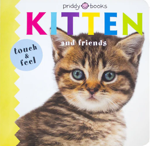 Touch & Feel - Kitten And Friends – DiskontoBooks