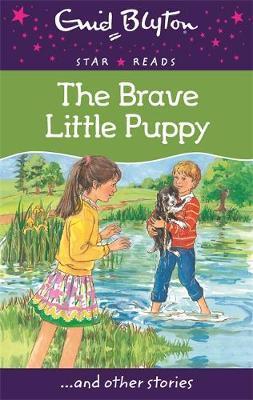 Enid Blyton: The Brave Little Puppy