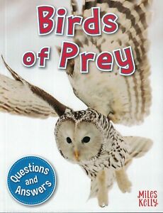 Q & A (4): Birds of Prey