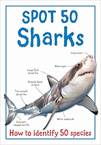 Spot 50: Sharks