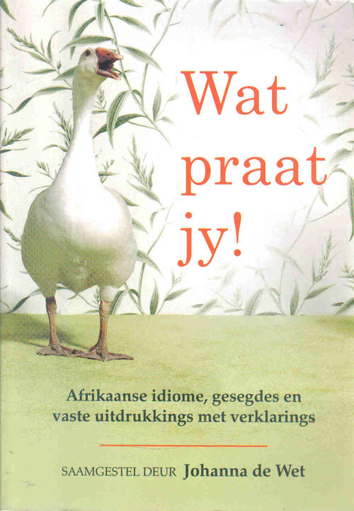 Wat Praat jy?