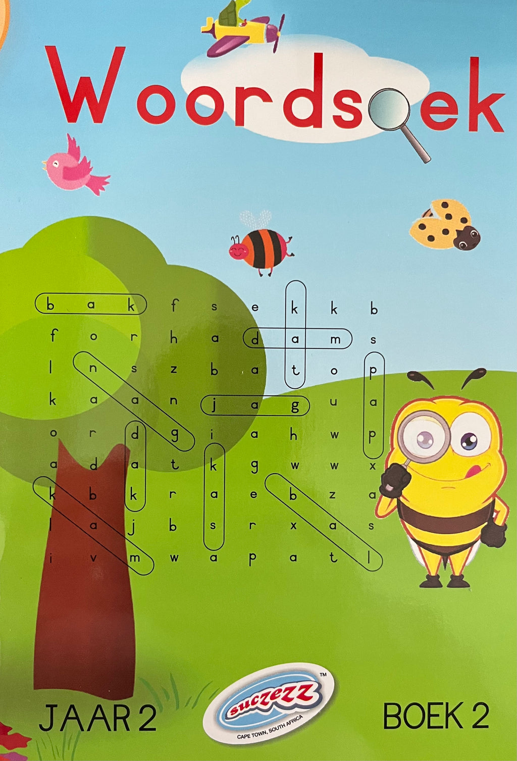 Woordsoek Jaar 2: Boek 2