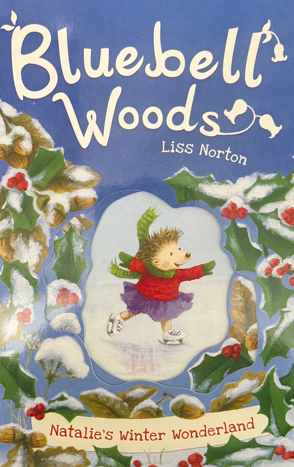 Bluebell Woods: Natalie's winter Wonderland
