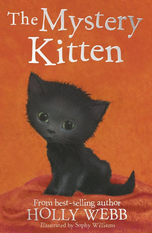 Holly Webb: Mystery Kitten