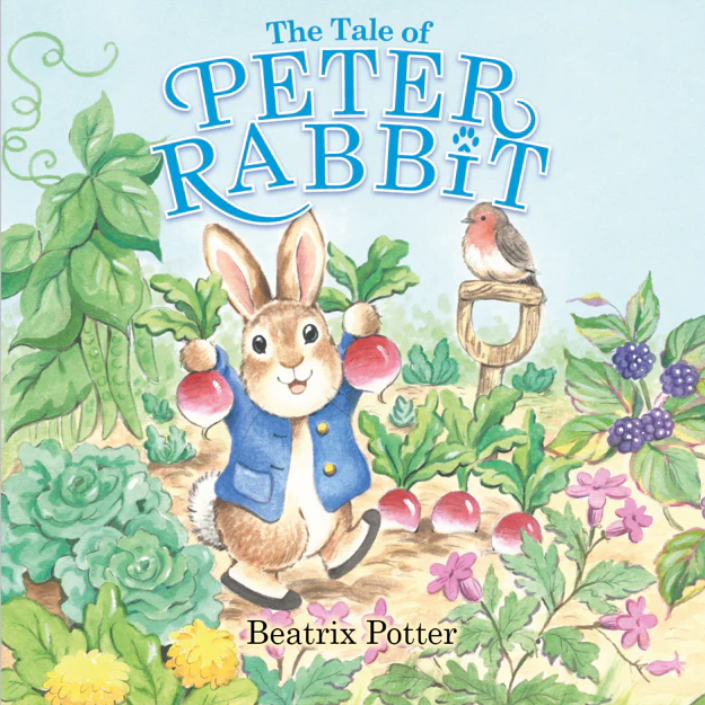 Peter Ravbbit Book Tale of Peter Rabbit (Picture Book) – DiskontoBooks