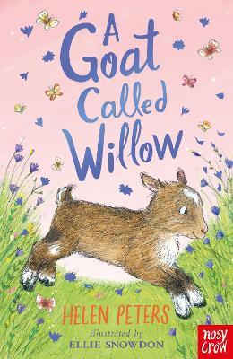 Goat called Willow