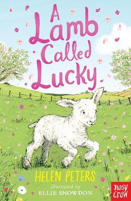 Lamb called Lucky