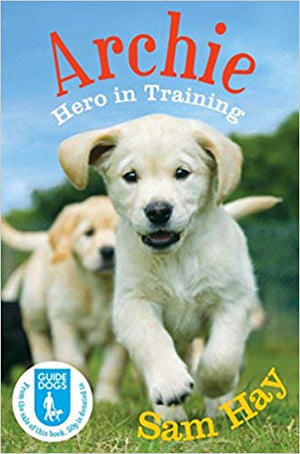 Archie: Hero in Training