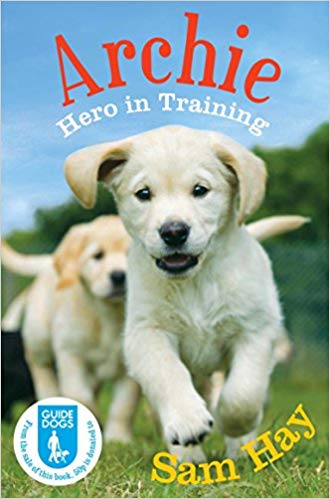 Archie: Hero in Training