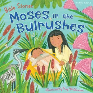 Bible Stories - Moses in the Bulrushes (Picture flat)