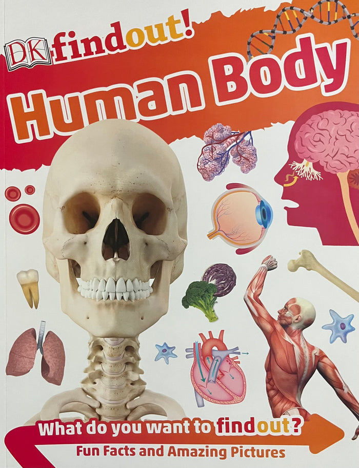 Find Out! Human Body – DiskontoBooks