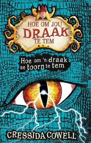 Hoe om 'n Draak se Toorn te Tem