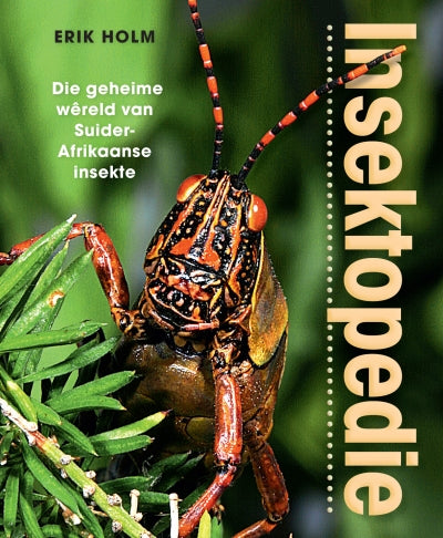 Insektopedie: Die geheime Wereld van Suider-Afrikaanse Insekte