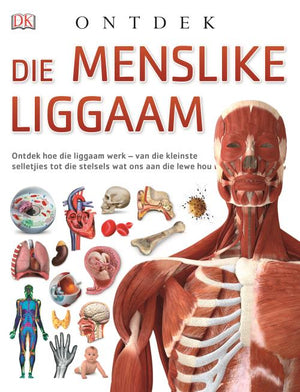 Ontdek: Die Menslike Liggaam