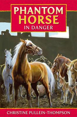 Phantom Horse: In Danger