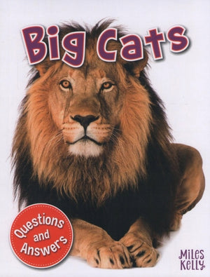 Q & A: Big Cats