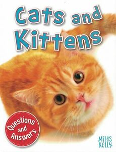 Q & A: Cats and Kittens