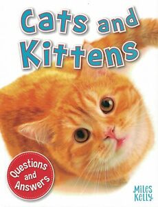 Q & A (5): Cats and Kittens