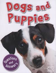 Q & A (8): Dogs and Puppies
