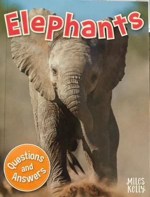 Q & A: Elephants