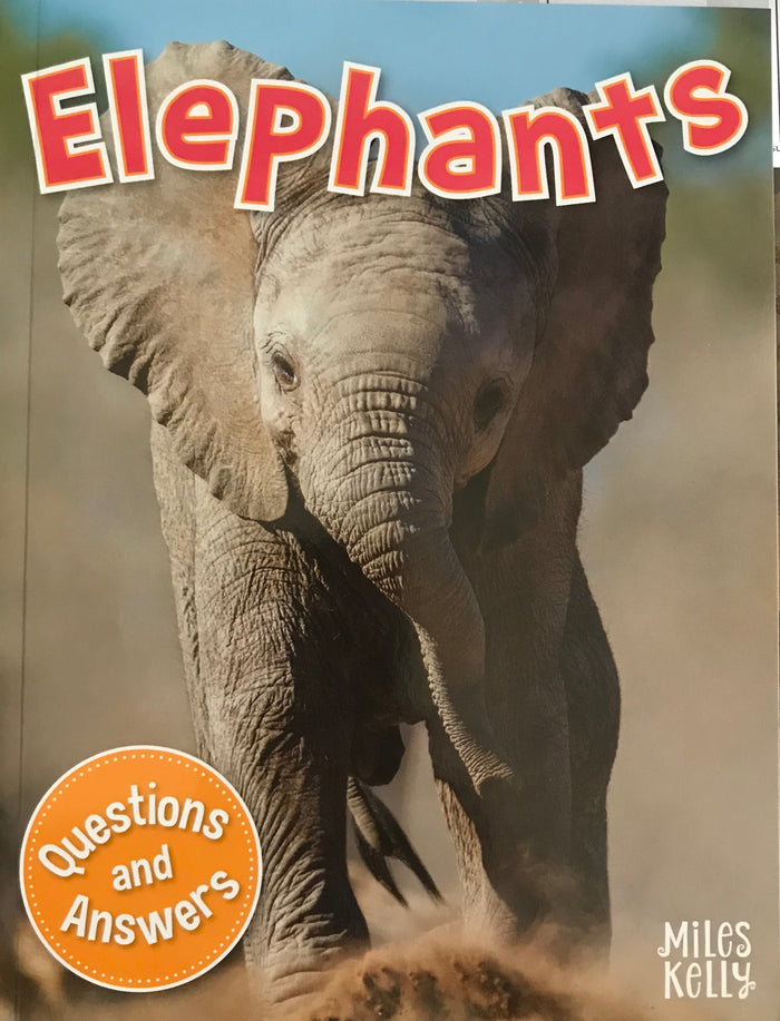 Q & A (9): Elephants