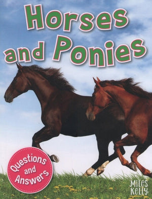 Q & A: Horses and Ponies