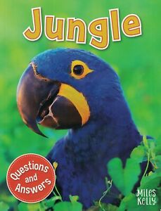 Q & A: Jungle