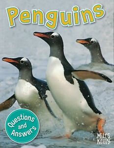Q & A: Penguins