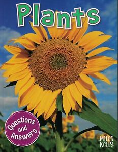 Q & A: Plants