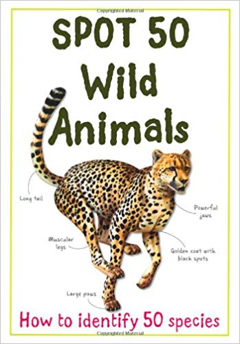 Spot 50: Wild Animals