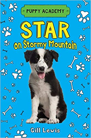 Star on Stormy Mountain (Puppy Academy)