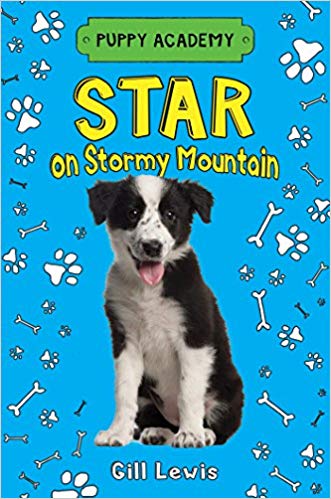 Star on Stormy Mountain (Puppy Academy)