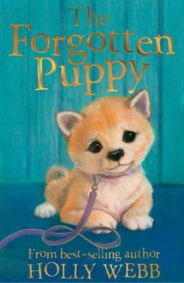 Holly Webb:  The Forgotten Puppy