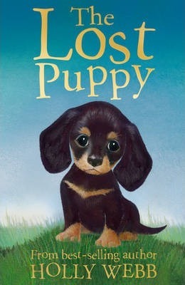Holly Webb:  The Lost Puppy
