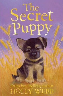 Holly Webb:  The Secret Puppy